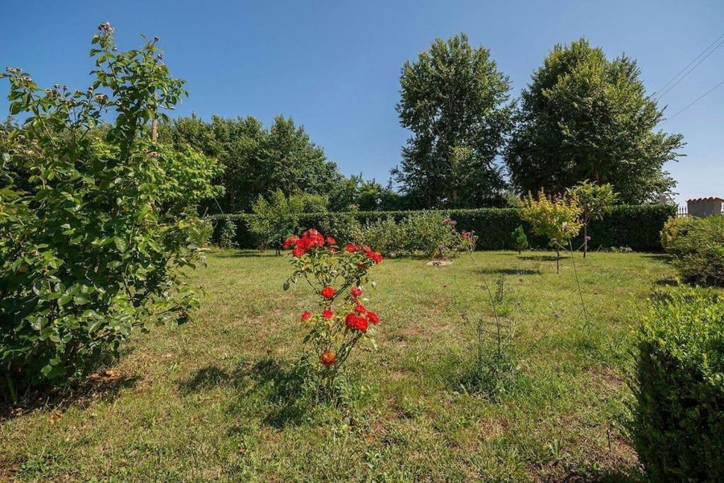 Apartment Radeki Glavica 112B Loborika Buitenkant foto